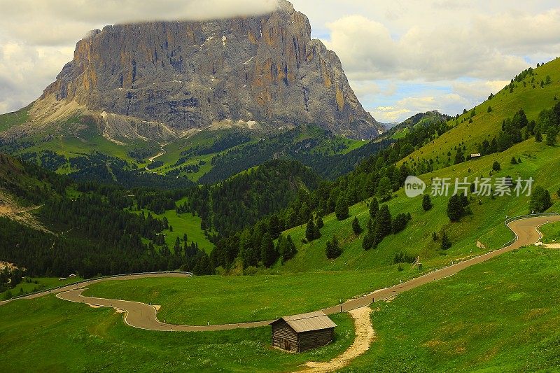 绿色的树林，Gardena山口，Dolomites，意大利泰洛阿尔卑斯山