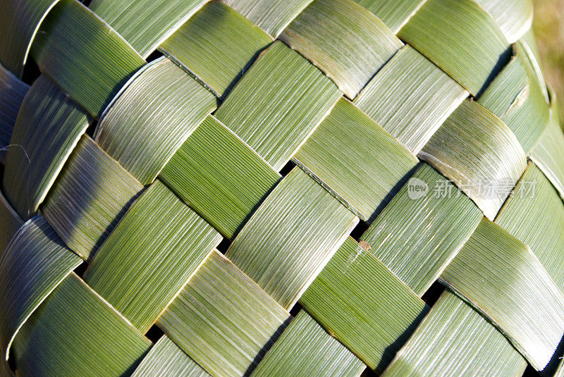 亚麻科特背景