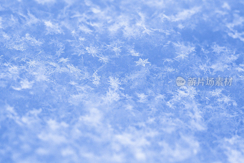 真正的雪花