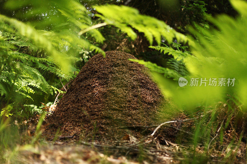 人群密集的地方