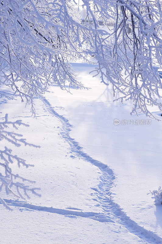 刚下过雪的小路