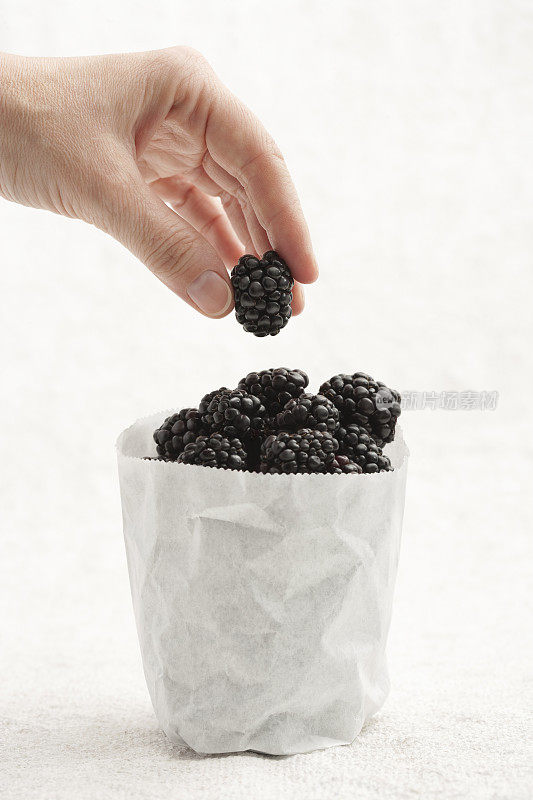 挑选新鲜黑莓