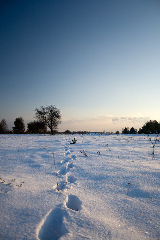 脚步在雪地