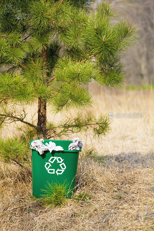 回收站及回收树