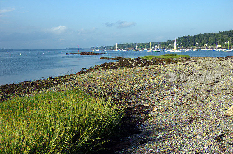 新英格兰海岸