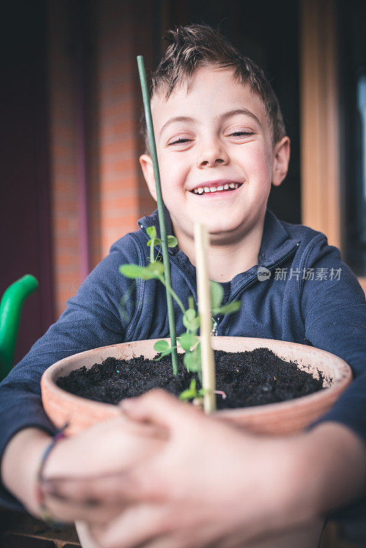 孩子照顾植物