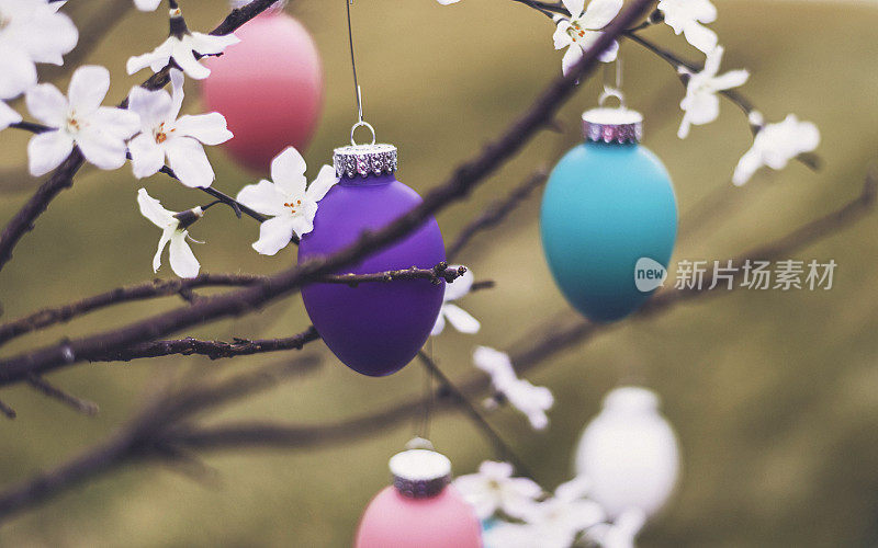 复活节彩蛋形状的装饰物挂在花园里的树上