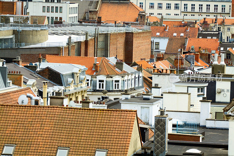 布鲁塞尔的屋顶