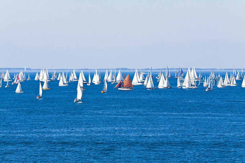 许多帆船在海平线上航行