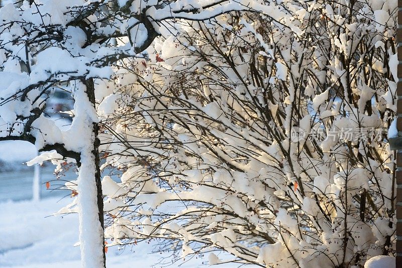 美国中西部冬季降雪