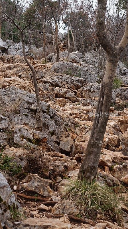 神圣的朝圣，十字山，克里泽瓦茨山，Medjugorje，波斯尼亚