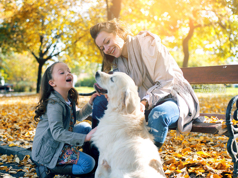 家人和狗在公园享受秋天的一天