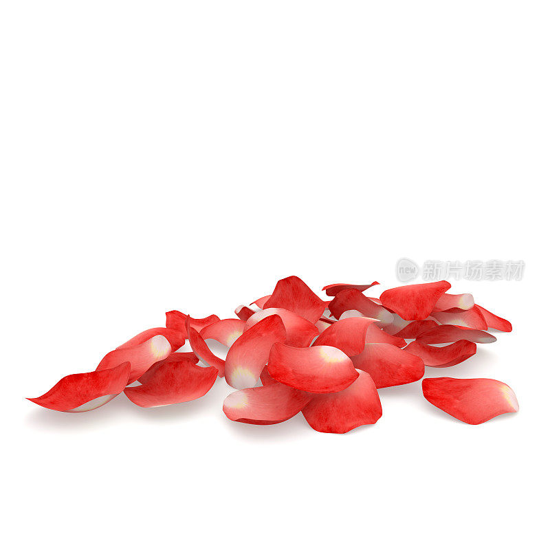 红玫瑰花瓣在地板上飞舞