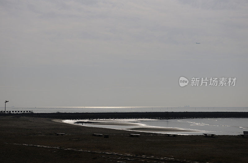 东京湾闪亮的大海