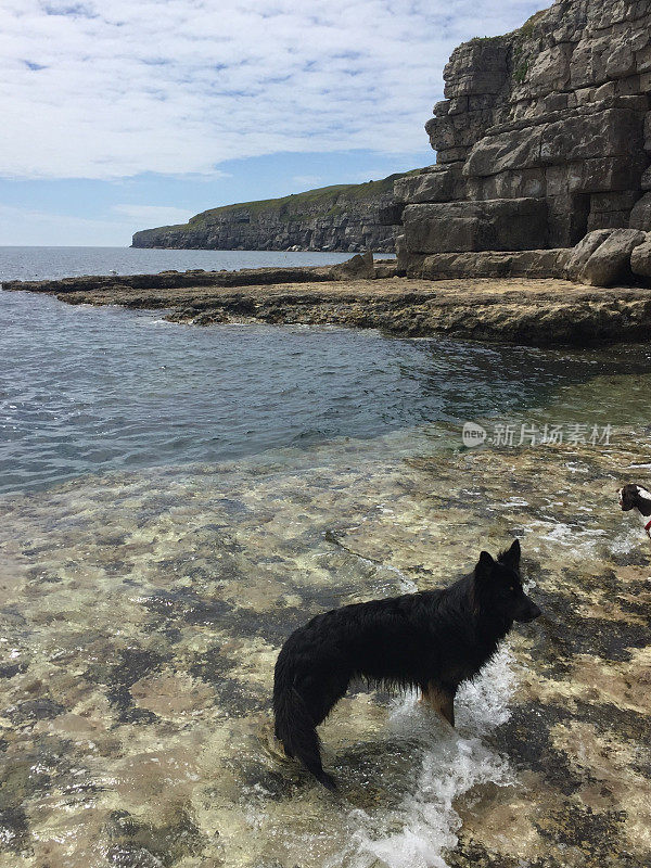 多塞特郡的海岸线