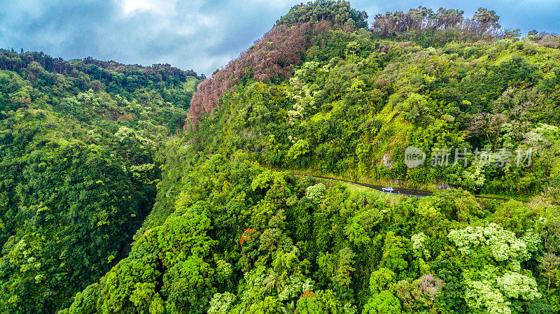 通往哈纳毛伊岛夏威夷太平洋景区的公路