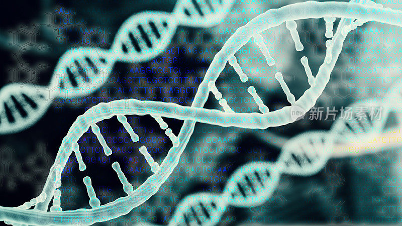 生物技术，DNA和蛋白质的生物信息学概念