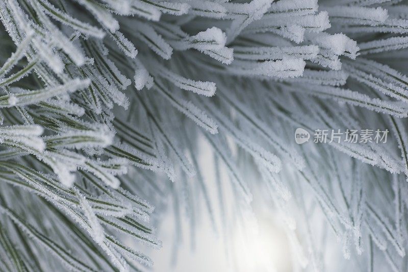 圣诞节的背景是冬天下雪