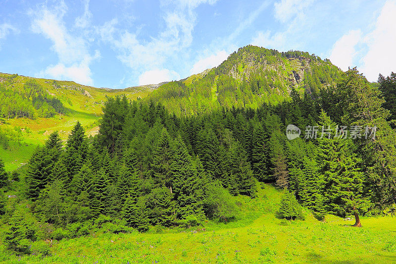 雄伟的Kaunertal南蒂罗尔雪峰山脉全景和田园诗般的Otztal泰罗尔山谷从上面，奥地利