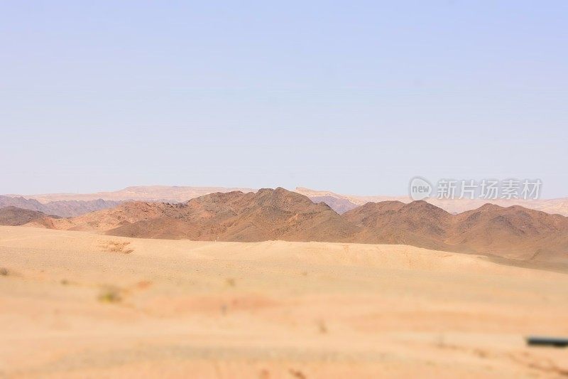 沙漠埃拉特