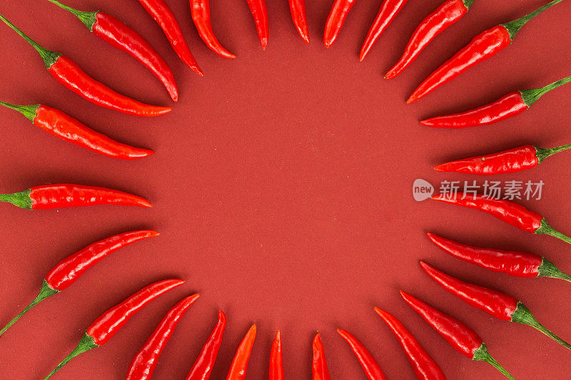 红辣椒，流行的香料概念-红辣椒豆荚在美丽的静物构成一个彩色的lap上的红色背景，俯视图，平铺，自由的文字空间