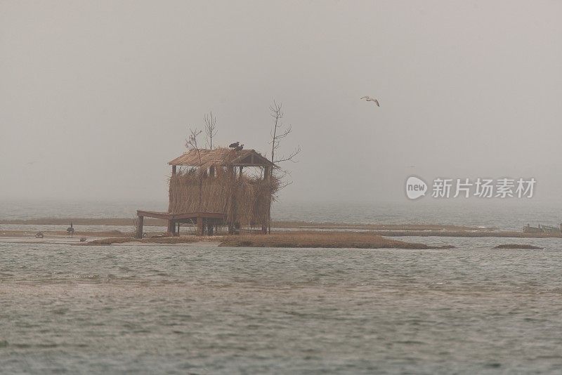 海洋城市狩猎盲