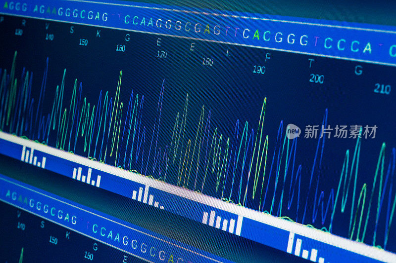 DNA序列分析