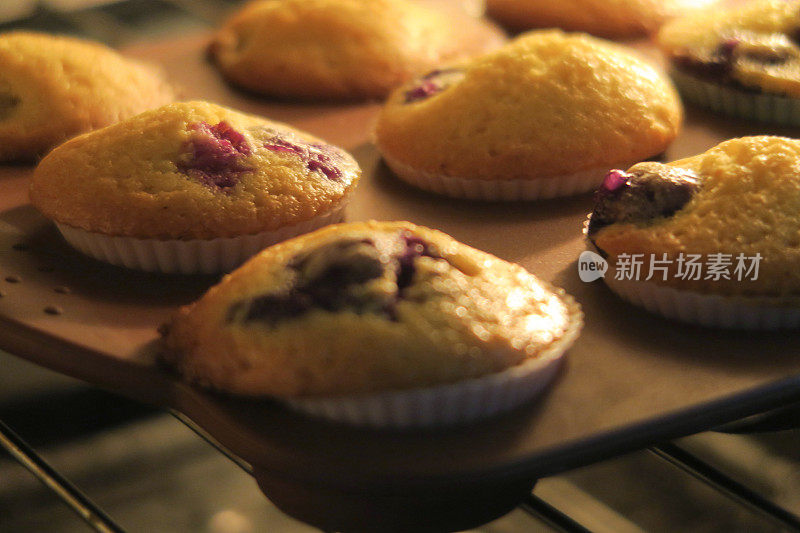 热烤箱中不粘松饼盘上自制蓝莓松饼的图片，家庭烘焙照片