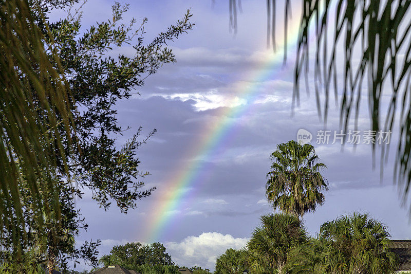 在生活和佛罗里达，暴风雨后会出现彩虹