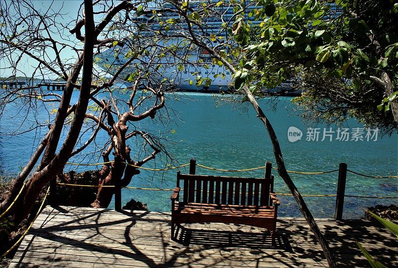 一个带有公园长椅的甲板，位于码头和加勒比海泻湖附近的热带雨林花园