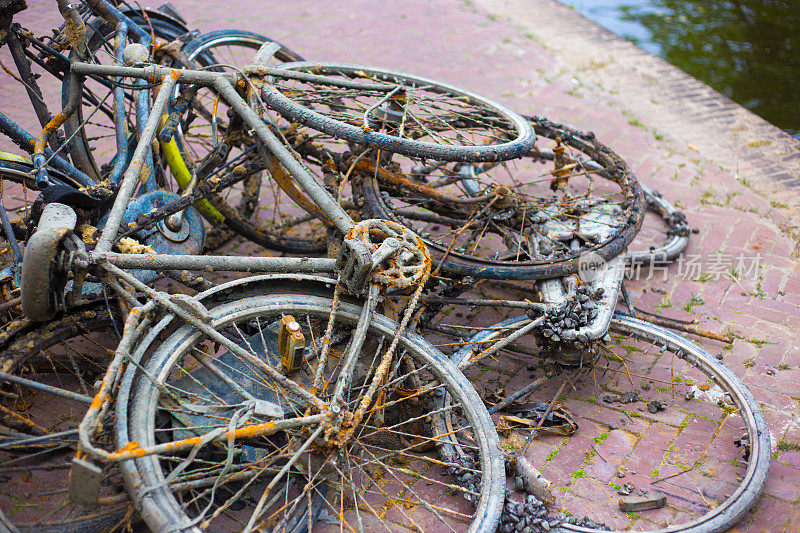 荷兰:运河附近荒废的、泥泞的、生锈的旧自行车