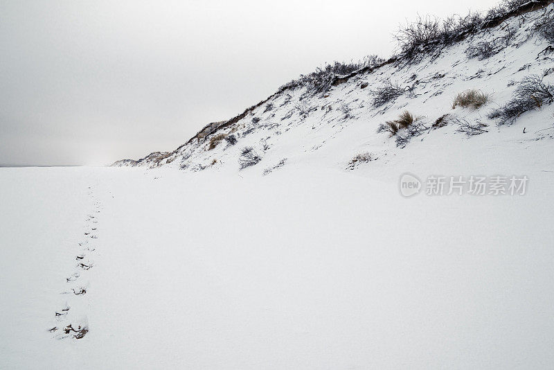 兰格岛的冬天。阴暗的天空。沙丘和覆盖着雪的马兰草。沙滩上的脚印。