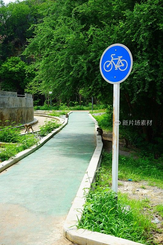 公园里的自行车道