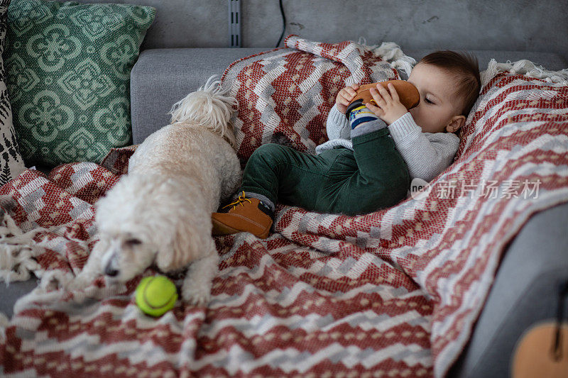 宝宝和狗在沙发上玩