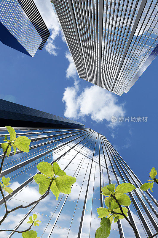 城市写字楼从下往上看，天空和植物的叶子