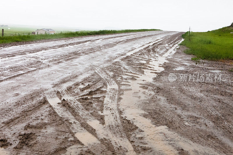 蒙大拿乡村泥泞的道路