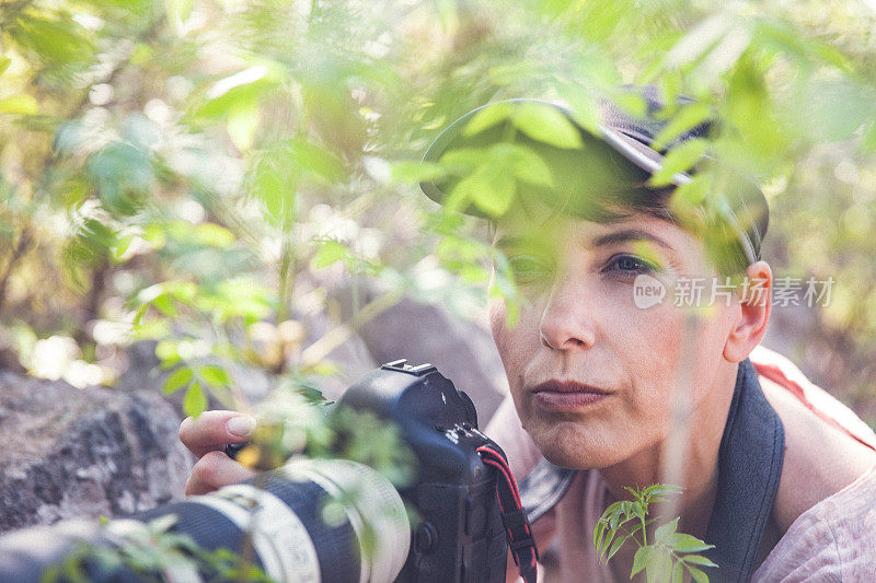中年女性摄影师藏在灌木丛中