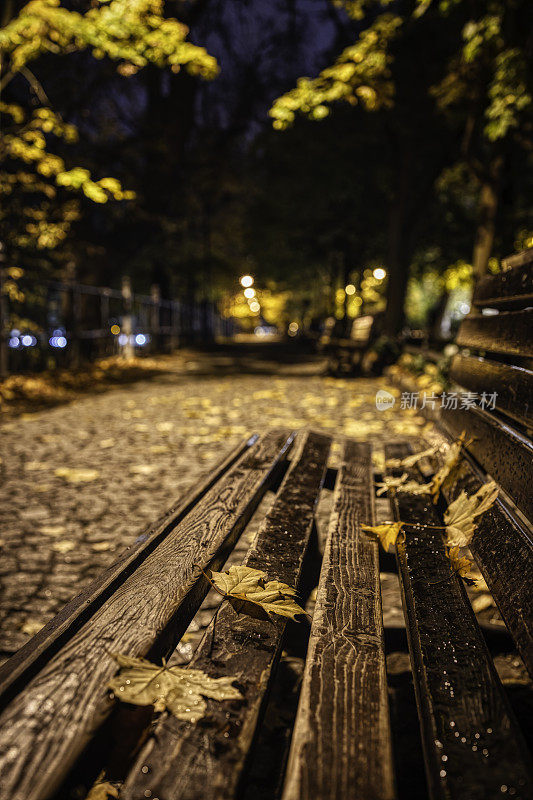 秋夜在城市大道(HDRi)