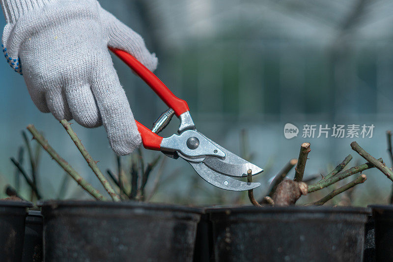 花园中心。快乐地工作，为自然和环境做些事情。