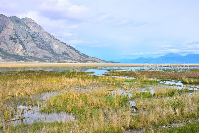 空地区的克卢恩湖湿地