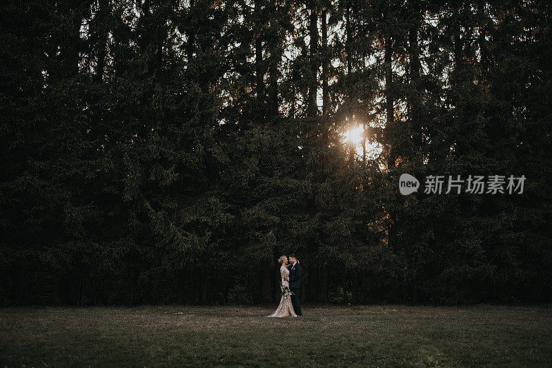非常美丽的新娘和新郎正在享受浪漫时光，风在森林里吹着麦穗。