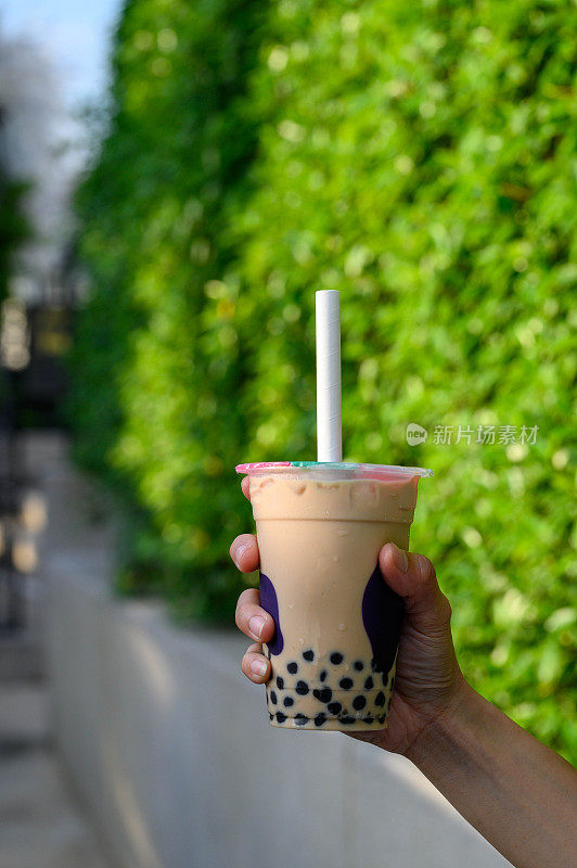 塑料杯鲜奶和红糖珍珠饮料与绿叶背景