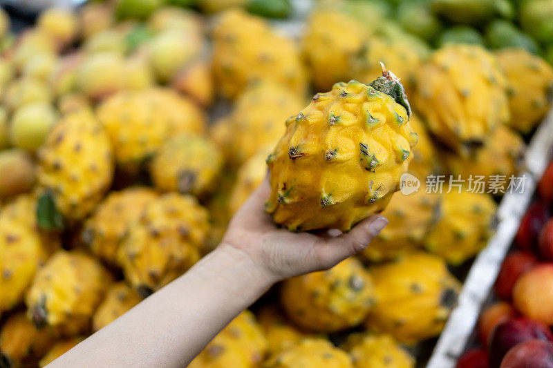 在农贸市场，一个陌生的女人拿着一个五颜六色的大火龙果