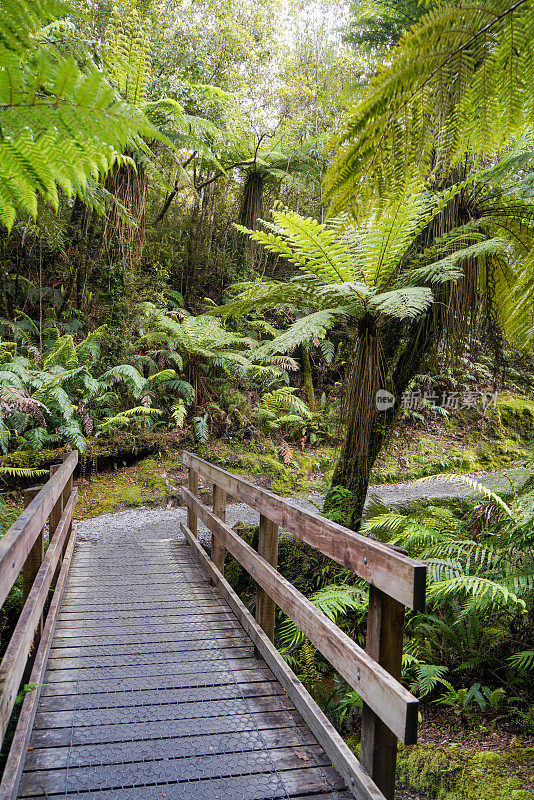 新西兰南岛霍基提卡霍基提卡峡谷风景保护区的木桥