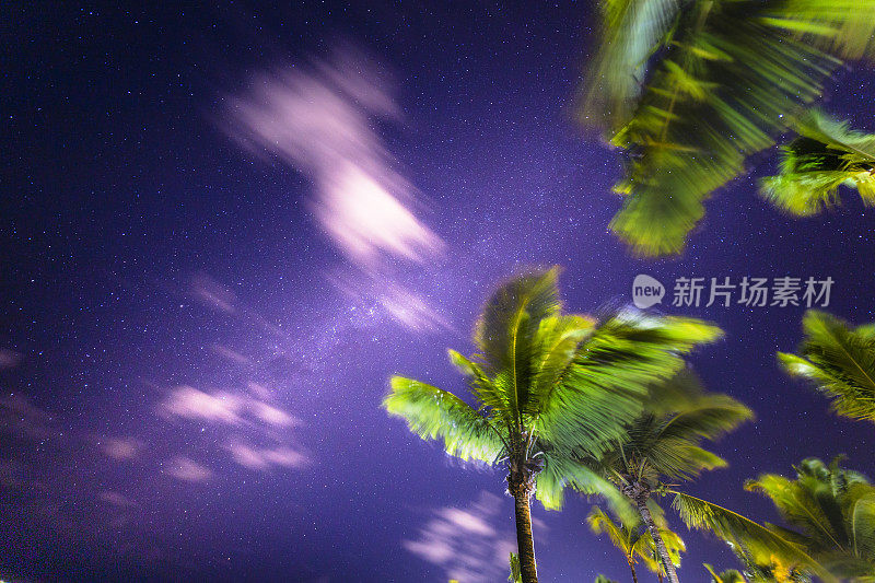 巴西巴伊亚的夜空上的银河和棕榈树-星星景观