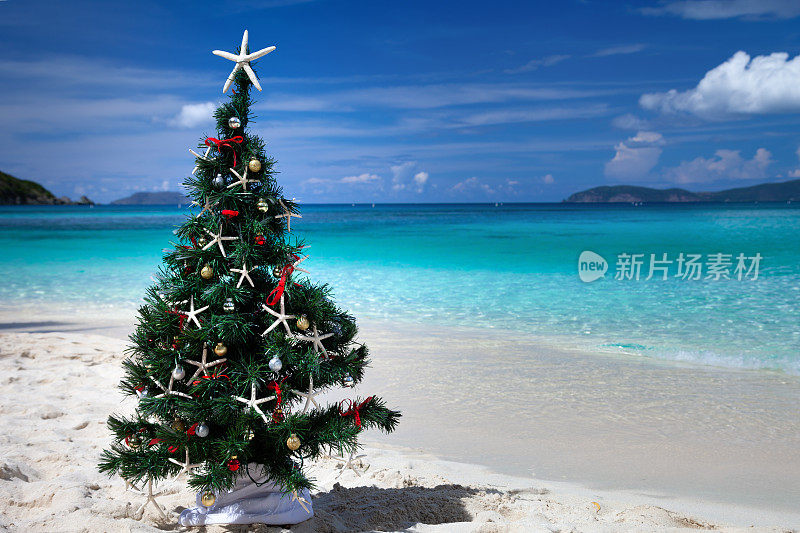 加勒比海热带海滩上的一棵圣诞树