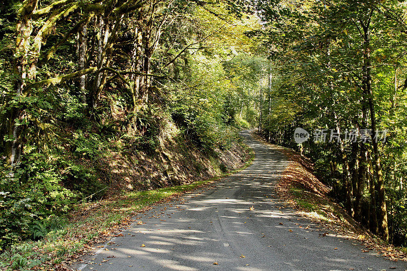 初秋的乡村路