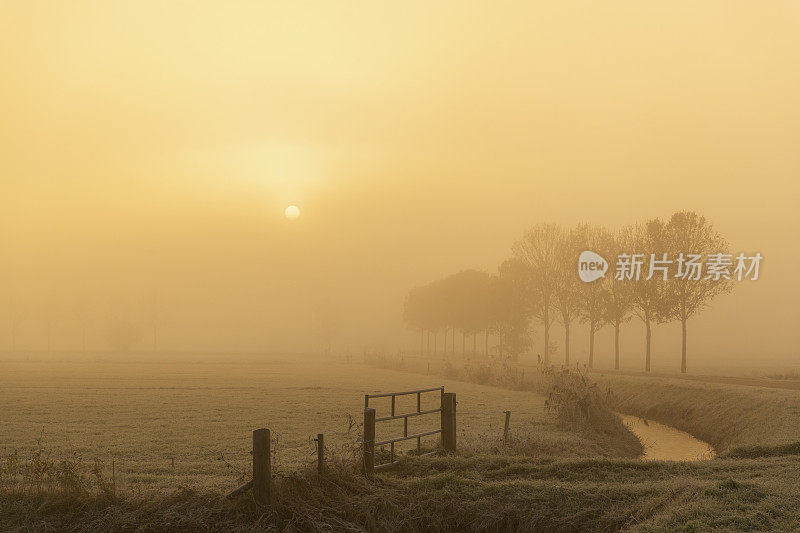 在一个有雾的秋天开始的IJsseldelta景观的雾蒙蒙的早晨景观