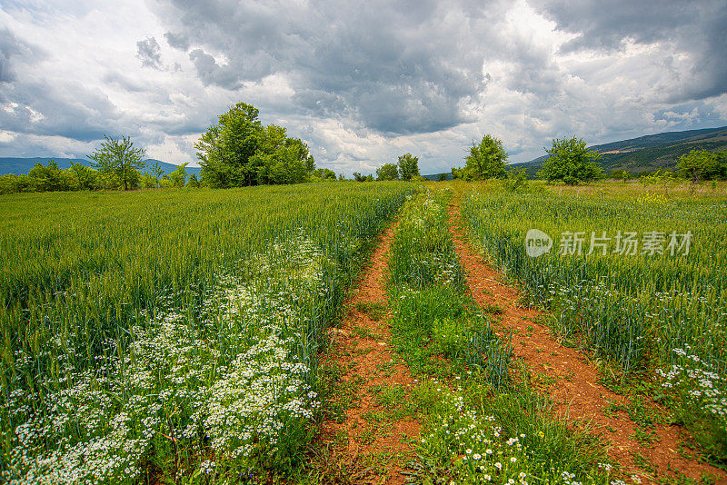 蜿蜒的道路在老山或斯达拉平原的乡间穿行