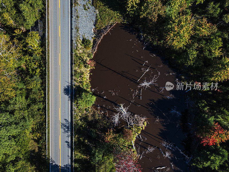 海狸塘路